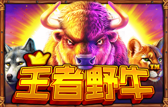 bsport体育最新官网入口